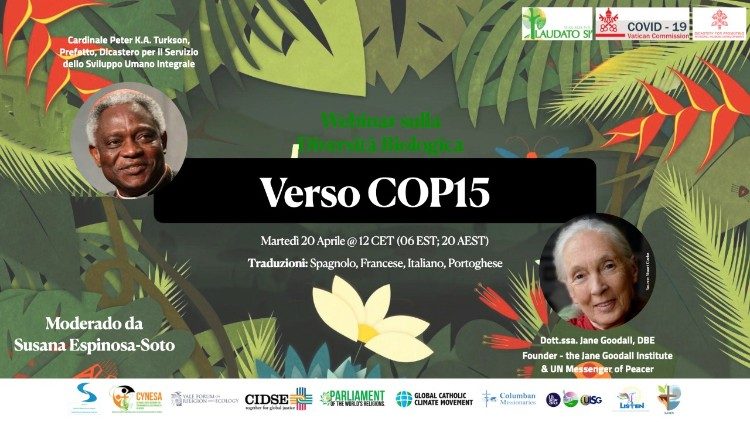 Verso Cp15: un webinar ispirato alla Laudato si'