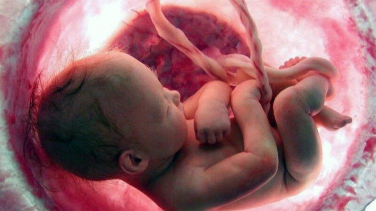 La Iglesia defiende la vida desde el momento de la concepción hasta su cese natural.