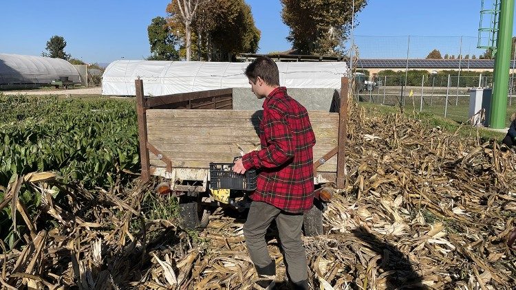 Trang trại Oltre il Labirinto
