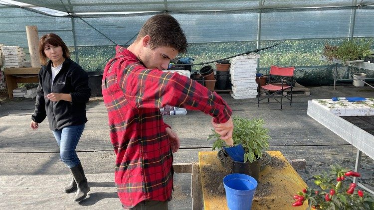 Trang trại Oltre il Labirinto