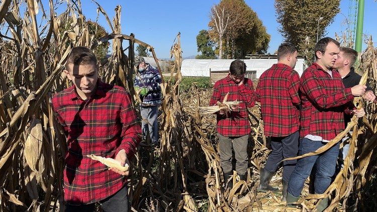 Trang trại Oltre il Labirinto