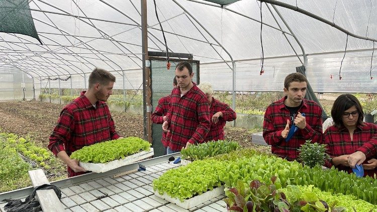 Several of the Foundation’s young people at work on the farm
