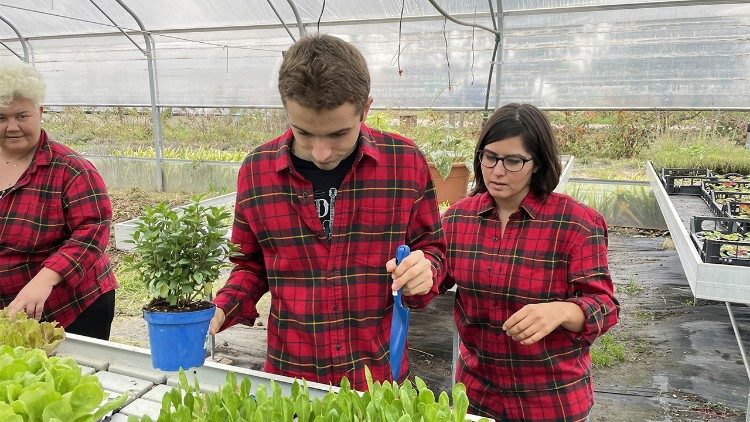 Young people get up early to begin their work on the farm