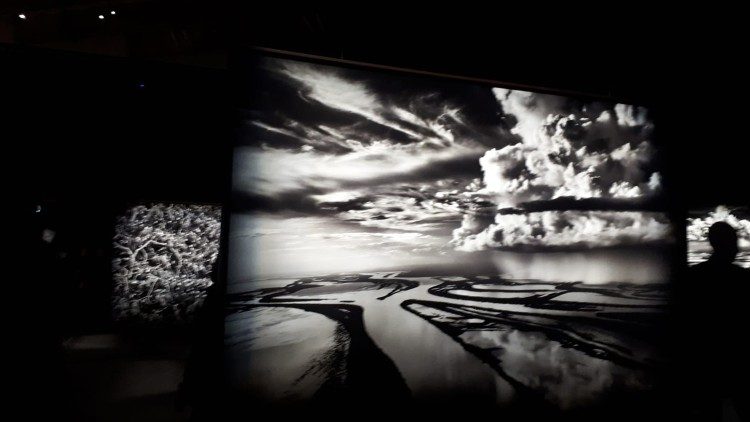 Visitando a Exposição de Salgado em Roma