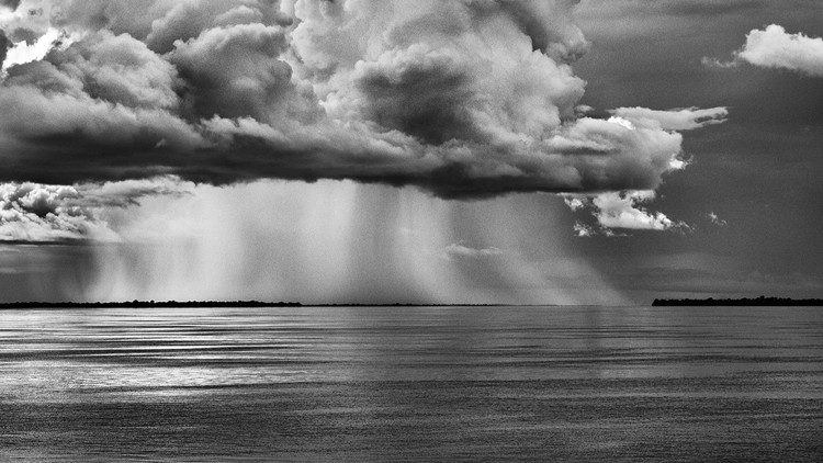 Rio Negro. Stato di Amazonas, Brasile, 2019