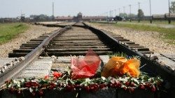 auschwitz-birkenau-540526_1920AEM.jpg
