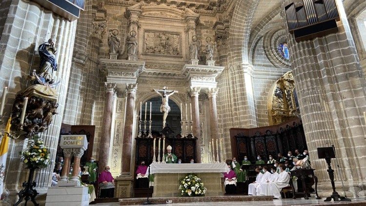 Monseñor José Rico Pavés, Obispo de la Diócesis de Asidonia-Jerez, España