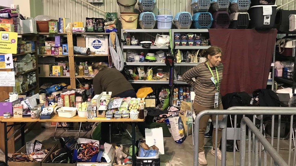 Punto di assistenza per gli amici animali