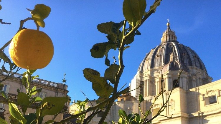 A view of St. Peter's Basilica