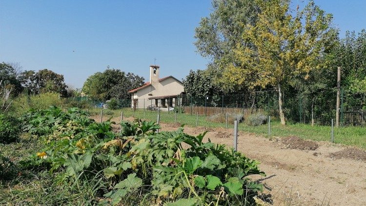 Una vista Centro Nocetum