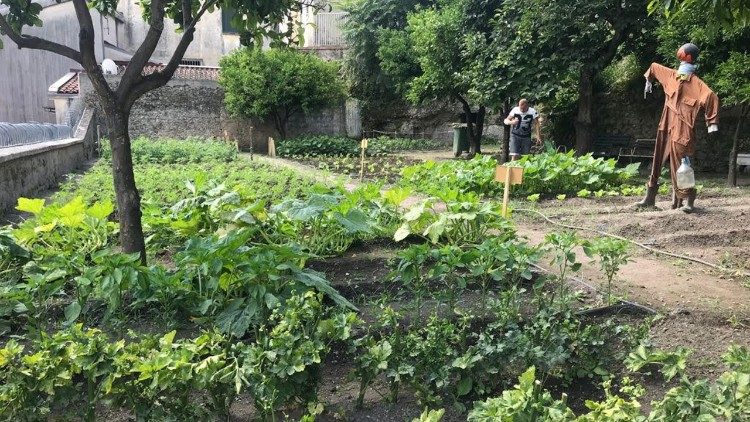 Una veduta dell'orto condiviso di Eboli