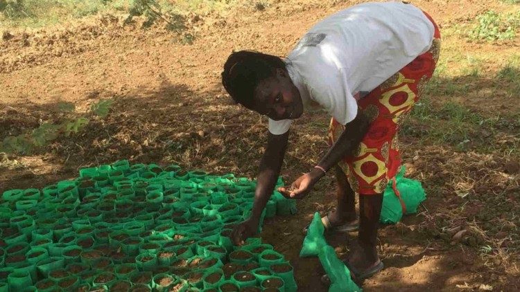  Stacy Muhuyi si prende cura del creato aiutando a piantare un vivaio di alberi a Riwoto.