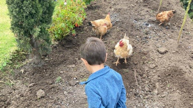 Agustín jugando con sus gallinas en libertad.