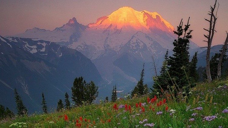 La bellezza della natura in ambiente montano