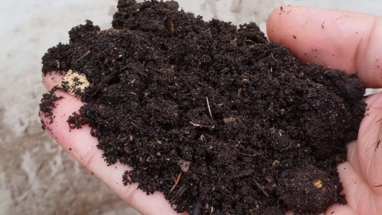 José Luis recoge el compost y lo deja madurar. La familia lo utiliza como abono orgánico para sus plantas.
