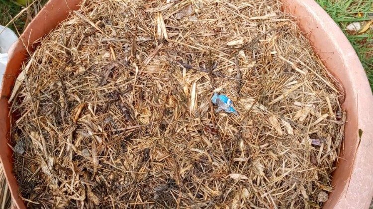 La familia convierte los residuos de comida en tierra mediante el compostaje.