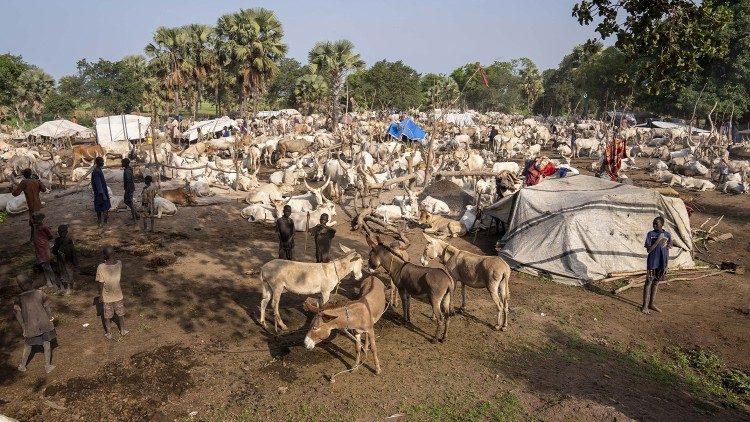 El campamento ganadero 