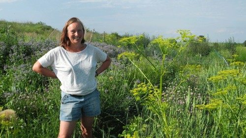 Sommergespräche: Sigrid Drage