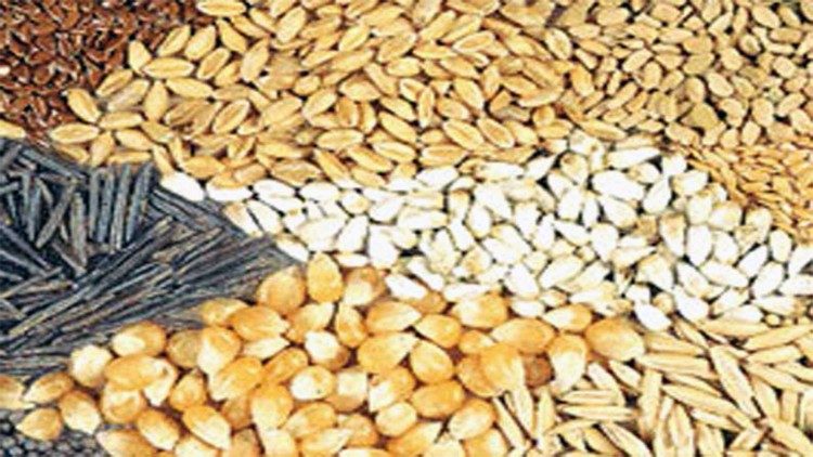 பல்வேறு விதைகள்