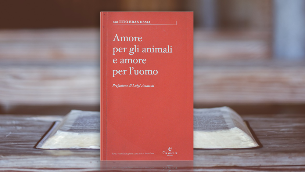 La copertina del libro