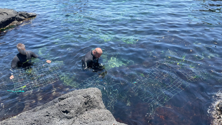Instalación de nuevas rejillas en el fondo del mar 