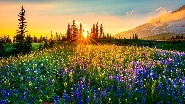 Da Cop15, a salvação para a biodiversidade