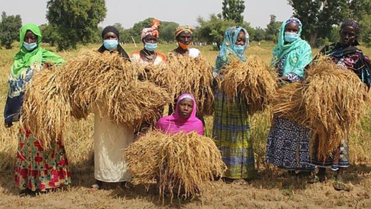 Des cultivatrices en Afrique de l'Ouest