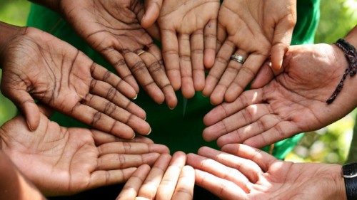 Écologie: le Mouvement Laudato Si' lance un parcours de formation au leadership