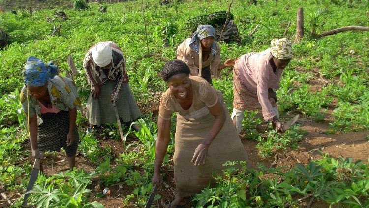 Las mujeres que participan en el proyecto trabajando en el campo