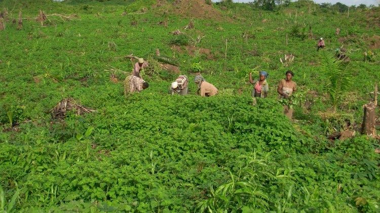 As atividades do projeto