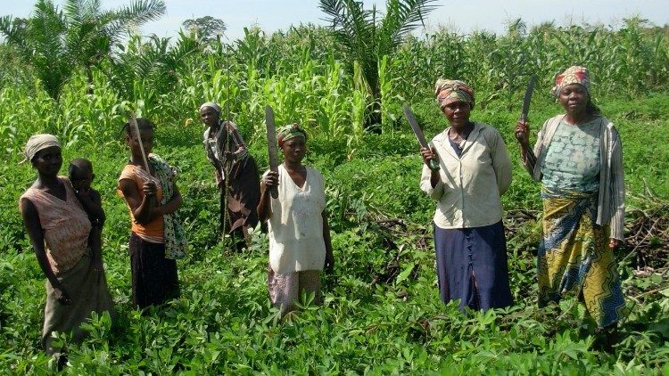 Las mujeres que participan en el proyecto trabajando en el campo