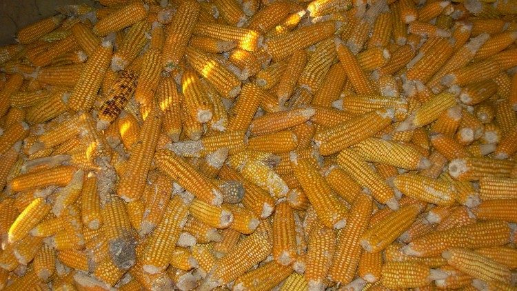 As atividades do projeto