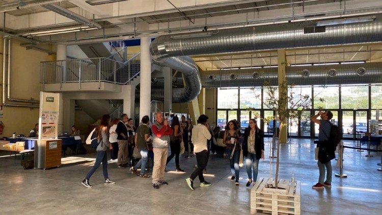 Economia de Francisco - Assis