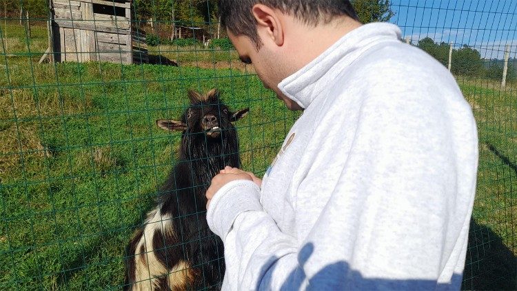 La fattoria didattica