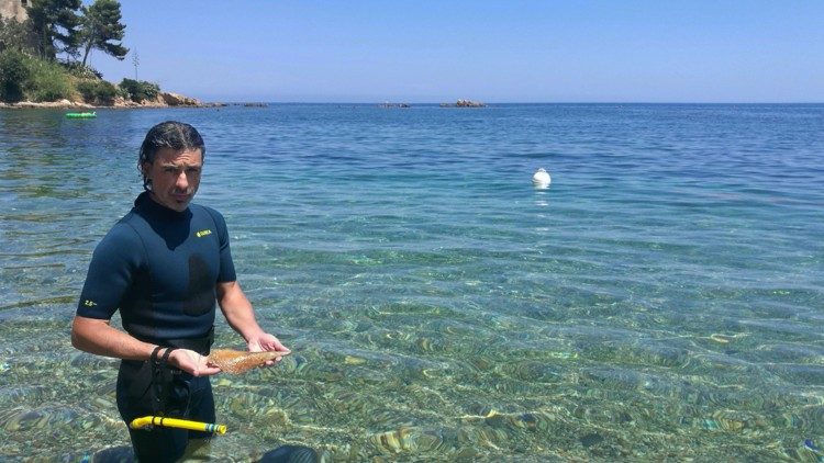 Il campionamento degli esemplari morti