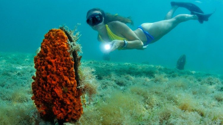 Conoscere, salvaguardare, abitare insieme il Creato