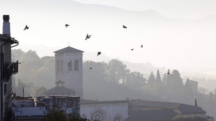 Pássaros voam livre e alegremente no céu de Assis 