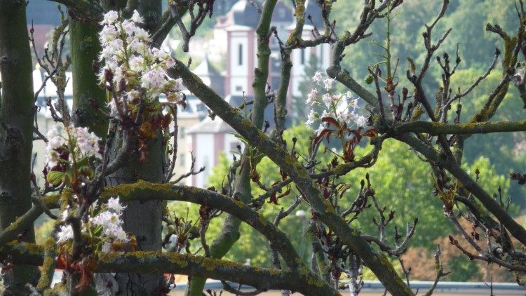 बवेरिया में ओबेरजेल का कॉन्वेंट