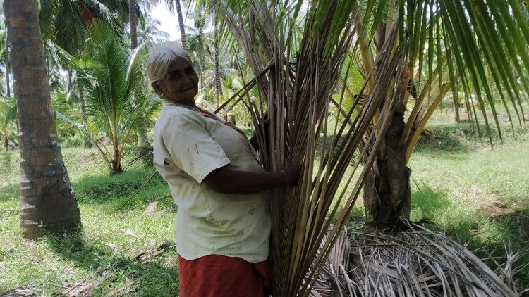 Collecting dried coconut leaf