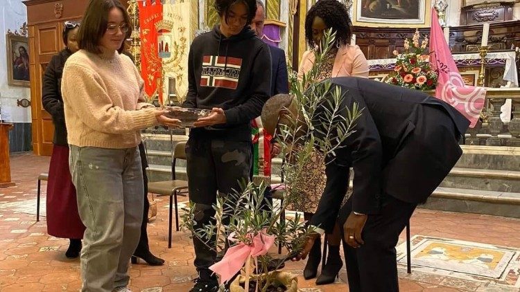 Coltivare la pace: il dono a Procida di un ulivo 