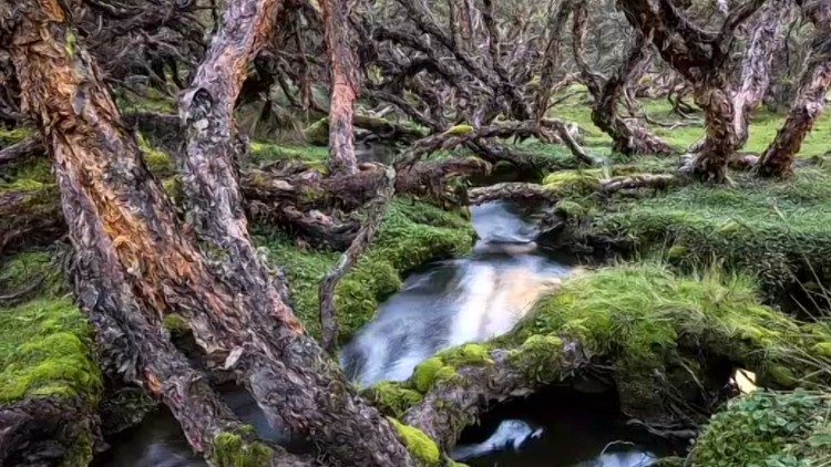 La montagna, preziosa fonte di acqua