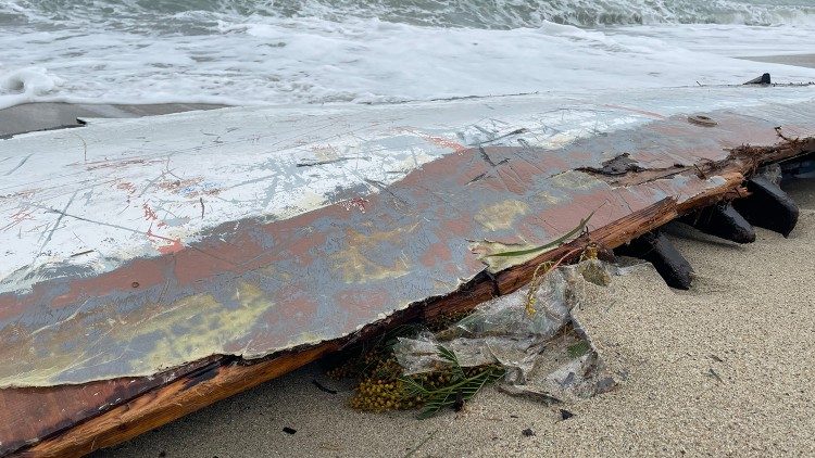 A twig of mimosa under a shard of the wreck