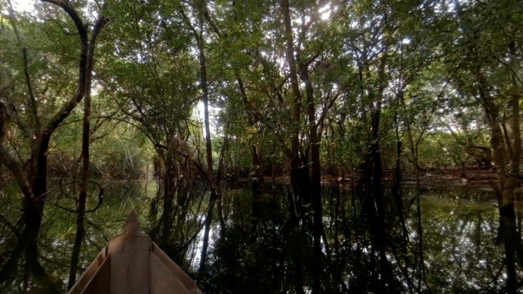Laudato si' - Amazônia
