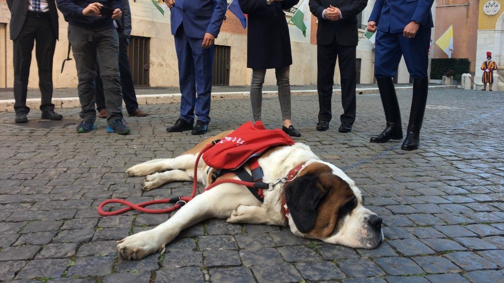 Magnum à la caserne de la Garde Suisse pontificale, mardi 28 mars 2023