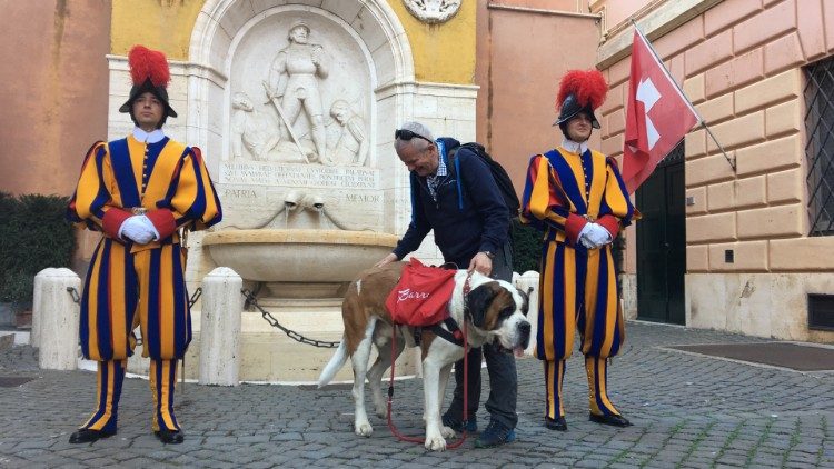 圣伯纳犬与主人步行朝圣见教宗