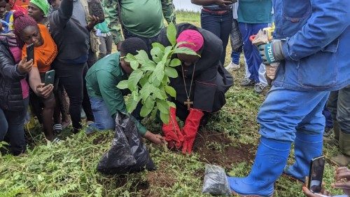 Cameroun: la population de Bafang lutte contre la déforestation 
