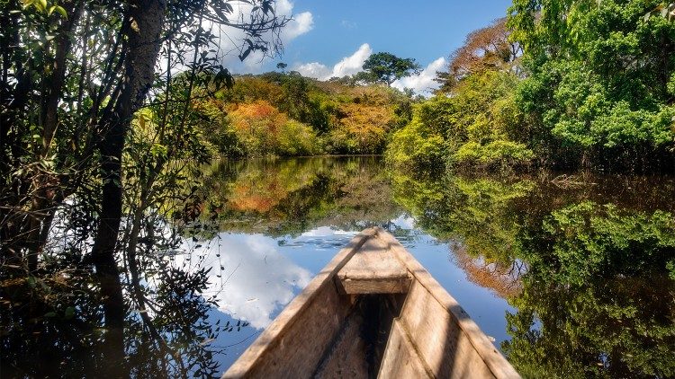 L' Alleanza contro la deforestazione punta allo sviluppo sostenibile delle risorse della regione amazzonica