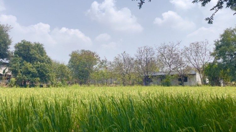 A view of Sneha Nilayum