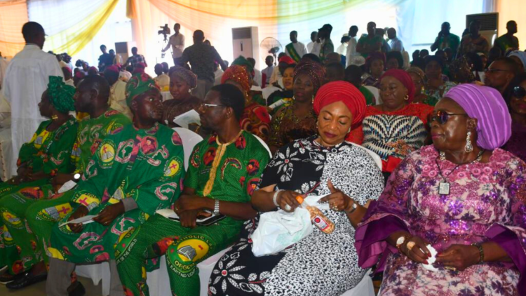 The Laity at the Plenary