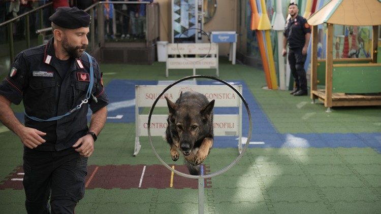 Settimana della Scienza al Bambino Gesù